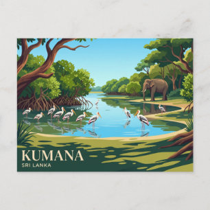 スリランカ クマナ国立公園 ポストカード