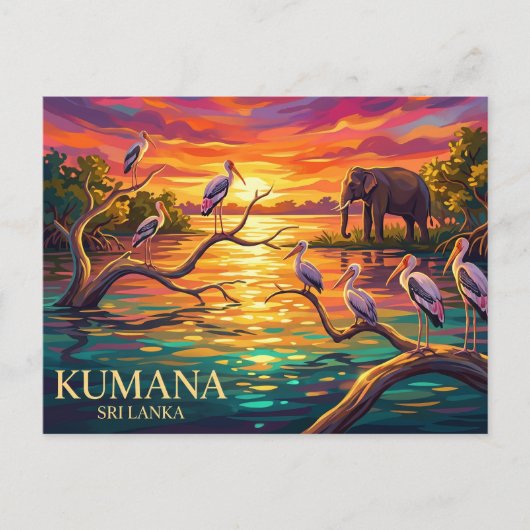 スリランカ クマナ国立公園 ポストカード (正面)