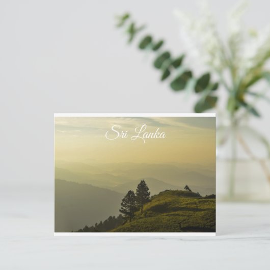 スリランカ  ポストカード (スタンド正面)