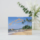 スリランカ ポストカード (スタンド正面)