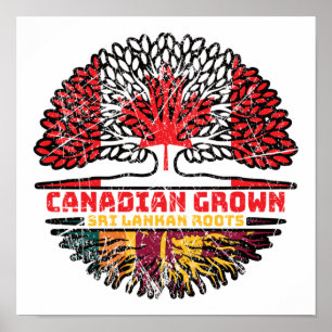 スリランカSri Lankan Canadian Tree Roots ポスター
