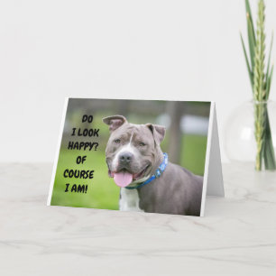 *スリル満点の犬がお祝いを言う* カード