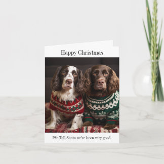 スリンガースパニエル犬ドッグスクリスマスカード カード