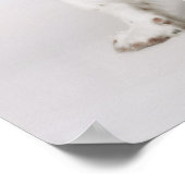 スリンガースパニエル犬 ポスター (角)