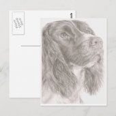 スリンガースパニエル犬 ポストカード (正面/裏面)