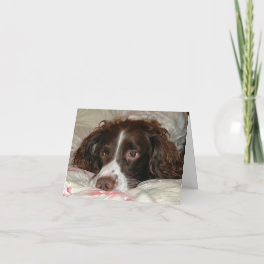 スリンガーラブ カード (正面)