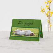 スリーおもしろいピング·バスセット·ハウンド付き誕生日カード カード (黄色い花)