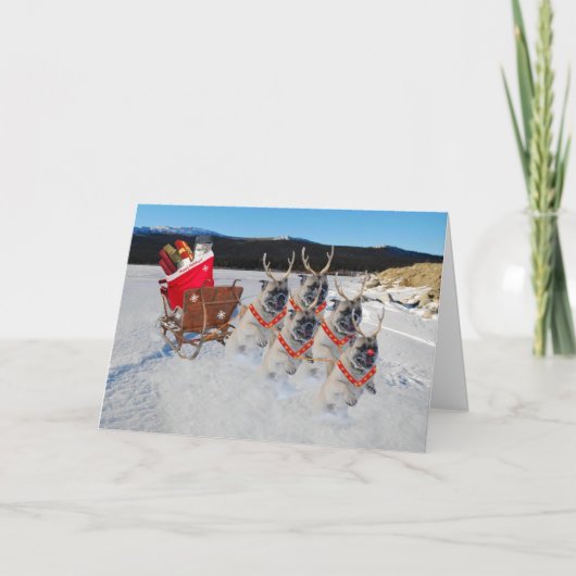 スリーのホリデーカードを引っ張るクリスマスパグ犬 シーズンカード (正面)