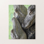 スリーアミゴスアリゲーターパズル ジグソーパズル (縦)