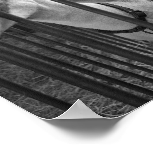 スリーアミゴス ポスター (角)