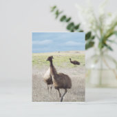 スリーエム ポストカード (スタンド正面)