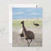 スリーエム ポストカード (正面/裏面)