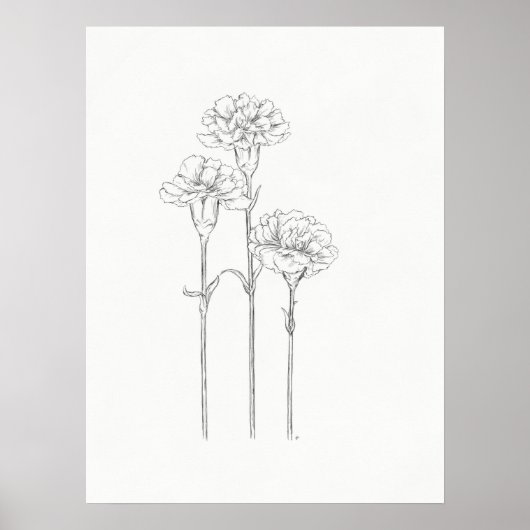 スリーカーネーションズスケッチアートプリント ポスター (正面)