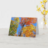 スリーシェードオブカラフル秋メープルツリーズ カード (黄色い花)