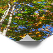 スリーシェードオブカラフル秋メープルツリーズ ポスター (角)