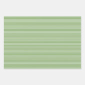 スリーシェードグリーンストライプ紙シート ラッピングペーパーシート (正面3)