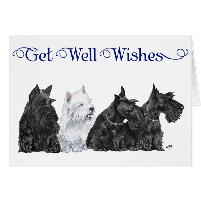 スリースコットランド&アウェスティー (正面横)