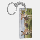 スリードンキーズ キーホルダー (正面左)