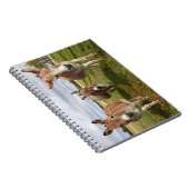 スリードンキーズ ノートブック (右側)