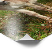 スリードンキーズ フォトプリント            (角)