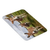 スリードンキーズ マグネット (右側)