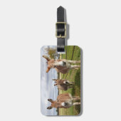 スリードンキーズ ラゲッジタグ (正面縦)