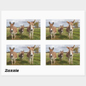 スリードンキーズ 長方形シール (シート)