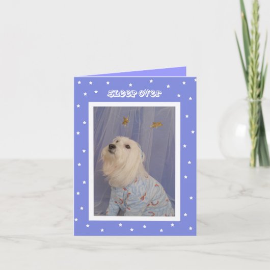 スリーバー誕生日招待状- – かわいい犬 招待状 (正面)