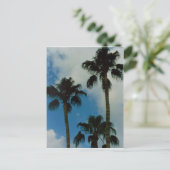 スリーパームズ ポストカード (スタンド正面)