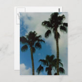 スリーパームズ ポストカード (正面/裏面)