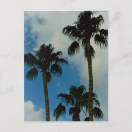 スリーパームズ ポストカード