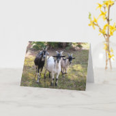 スリービリーヤート カード (黄色い花)