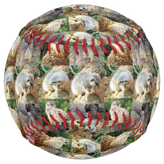 スリーピメルカットフォトコラージュ，ソフトボール ソフトボール (正面)