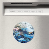 スリーピングカメ磁石 マグネット (インサイチュ (食洗機))