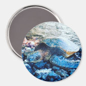 スリーピングカメ磁石 マグネット (正面/裏面)