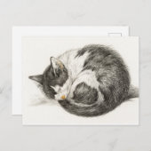 スリーピングキャットヴィンテージイラストレーション ポストカード (正面/裏面)