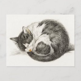スリーピングキャットヴィンテージイラストレーション ポストカード