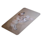 スリーピングゴールデンレトリバー マグネット (左側)