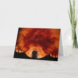 スリーピングチャウチャウgccn カード