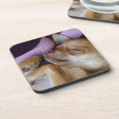 スリーピングチワワ コースター (左側)