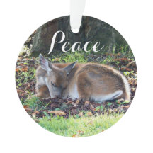 スリーピングディアピースホリデー