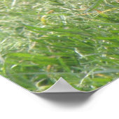 スリーピングハトプリント ポスター (角)