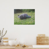 スリーピングハトプリント ポスター (キッチン)