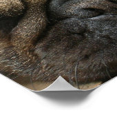 スリーピングパグポスタープリント ポスター (角)