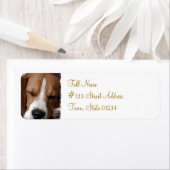 スリーピングビーグル差出人住所ラベル ラベル (インサイチュ)