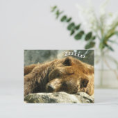 スリーピングベア ポストカード (スタンド正面)