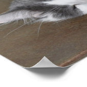 スリーピングメーヌーンキャットポスター ポスター (角)