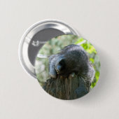 スリーピングラクーンピン 缶バッジ (正面&裏面)