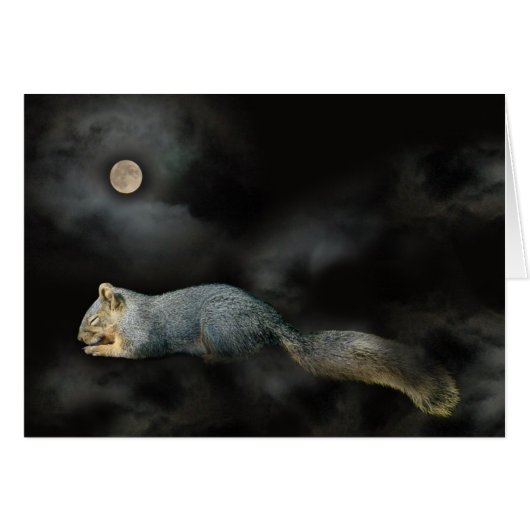 スリーピングリスのカード (正面横)