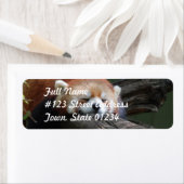 スリーピングレッドパンダ差出人住所メーリングラベル ラベル (インサイチュ)